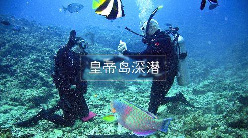 七人局